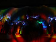 2010 karnevalssitzung 032