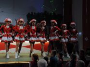 karnevalssitzung 2014 0240