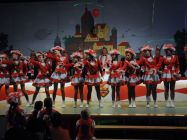 karnevalssitzung 2014 0278