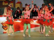 karnevalssitzung-altkalkar-2015-0056