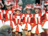 karnevalssitzung 2014 0116