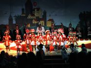 karnevalssitzung 2014 0213