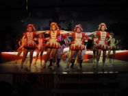 5 DSC 0297 (Copy).JPG