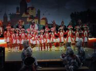 karnevalssitzung 2014 0114