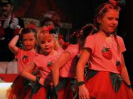 karnevalssitzung-altkalkar-2015-0075