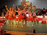 karnevalssitzung-altkalkar-2015-0048