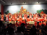 karnevalssitzung-altkalkar-2015-0295