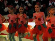 karnevalssitzung-altkalkar-2015-0042