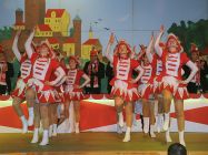 2013-karnevalssitzung-0118