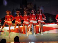 karnevalssitzung-altkalkar-2015-0188