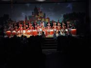 karnevalssitzung 2014 0224