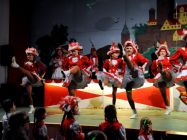 karnevalssitzung 2014 0246