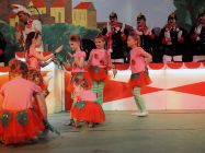 karnevalssitzung-altkalkar-2015-0045