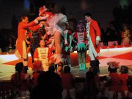 karnevalssitzung-altkalkar-2015-0254