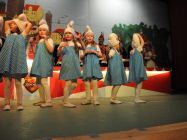 karnevalssitzung 2014 0040