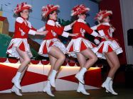 2010 karnevalssitzung 024