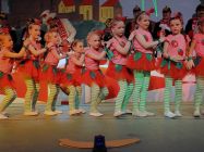 karnevalssitzung-altkalkar-2015-0060