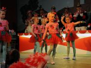 karnevalssitzung-altkalkar-2015-0054